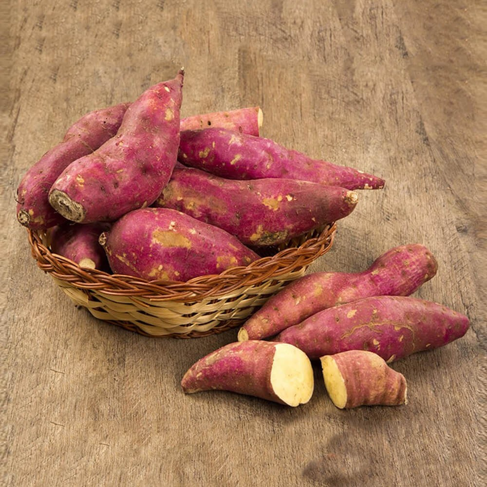 Sweet Potato