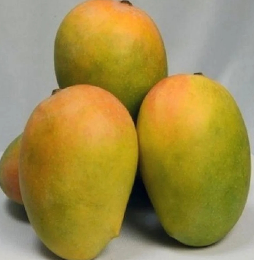 Kesar 6pc