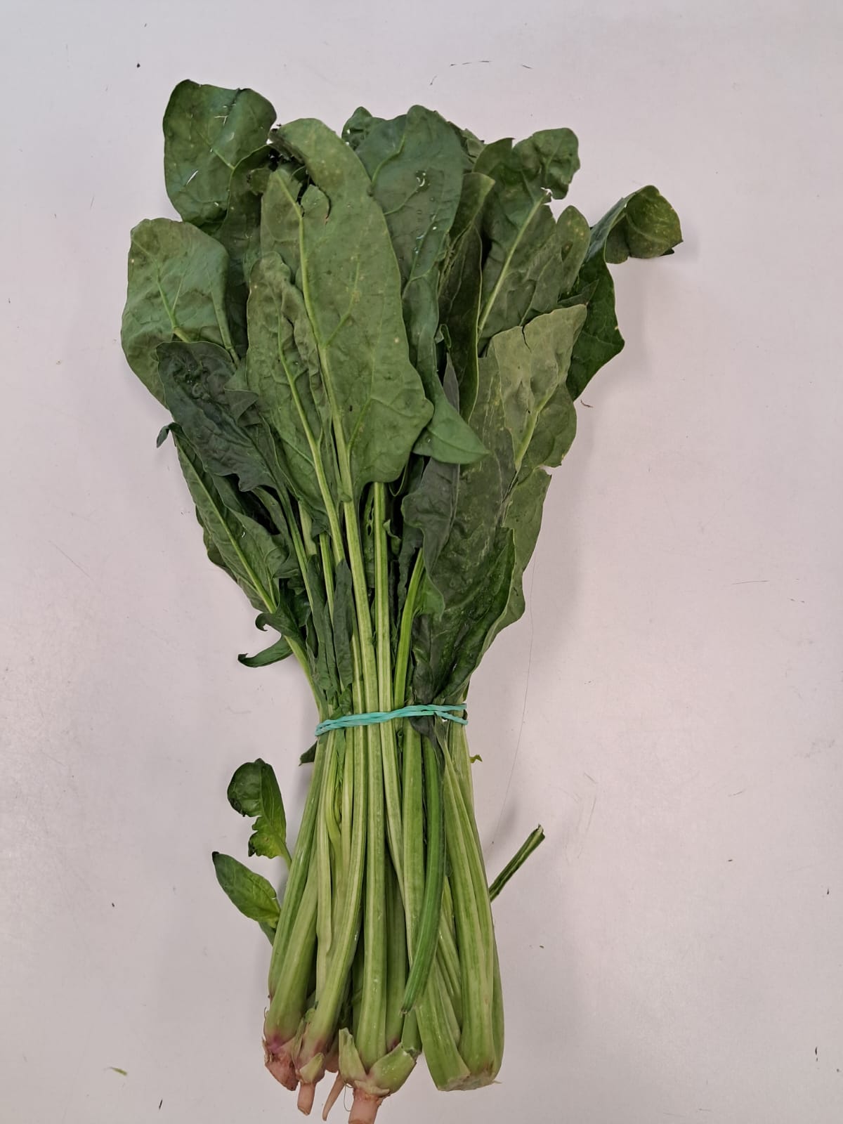 Palak 1 Stick 350 To 400 Gr