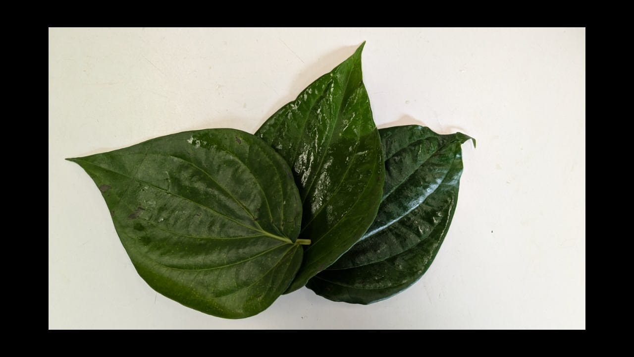 Mango Leaf (5 Piece)